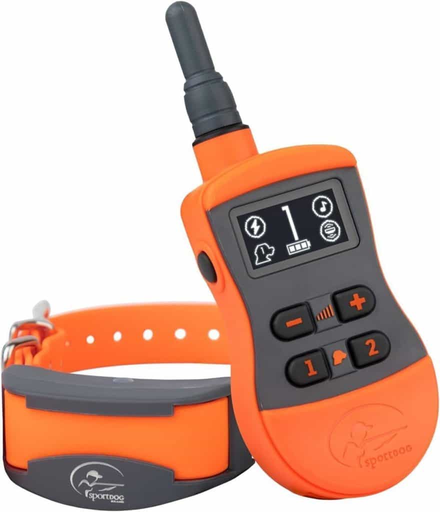 Test du collier SportDOG SportTrainer : dressage avancé avec portée de 500 m