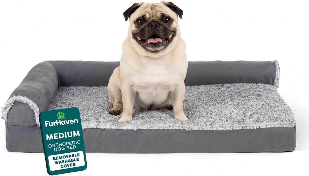 Test : furhaven pet lit orthopédique jumbo plus pour animaux