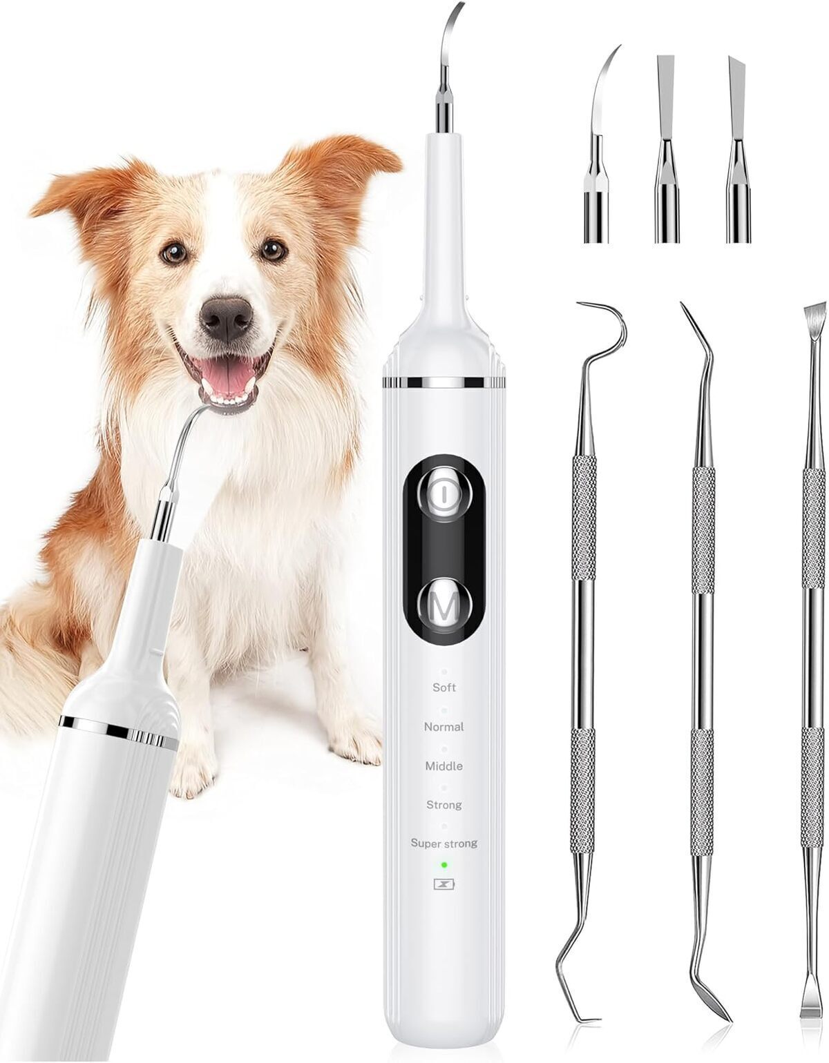 Test : kit de nettoyage dentaire Nature Nerds pour animaux