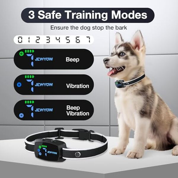 Découvrez notre test détaillé du collier anti-aboiement Jewyow : efficacité prouvée, réglages précis et avis complet pour dresser votre chien. 