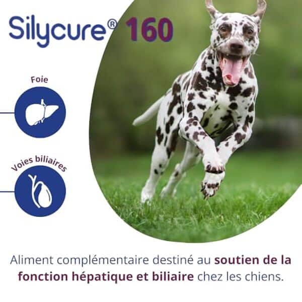Découvrez les avantages du silycure 160 mg d'Anidev pour la santé hépatique de vos animaux : un complément naturel essentiel pour chiens et chats. 