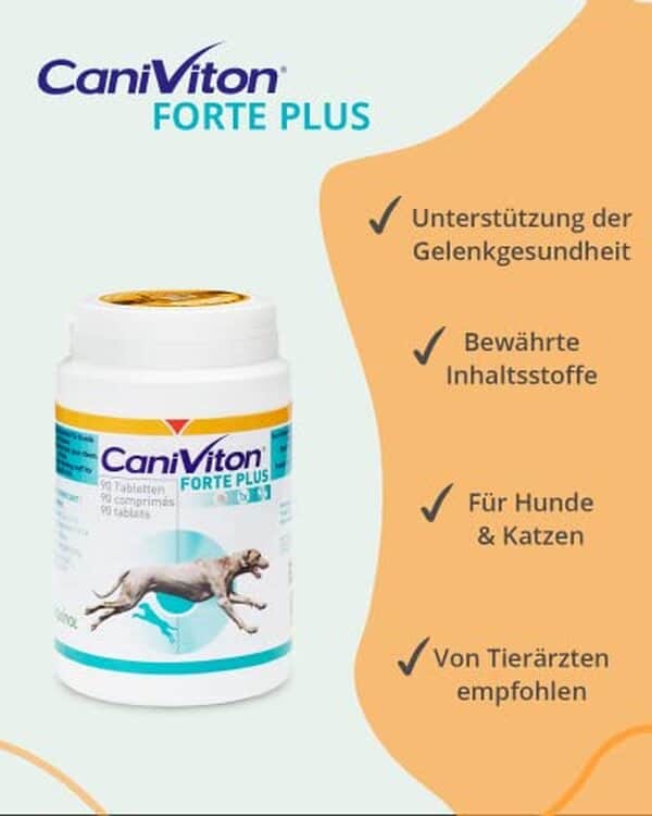 Découvrez notre test complet du complément Caniviton Forte Plus pour chiens et chats : efficacité, composition, avis et recommandations d'utilisation pour la santé de votre animal.