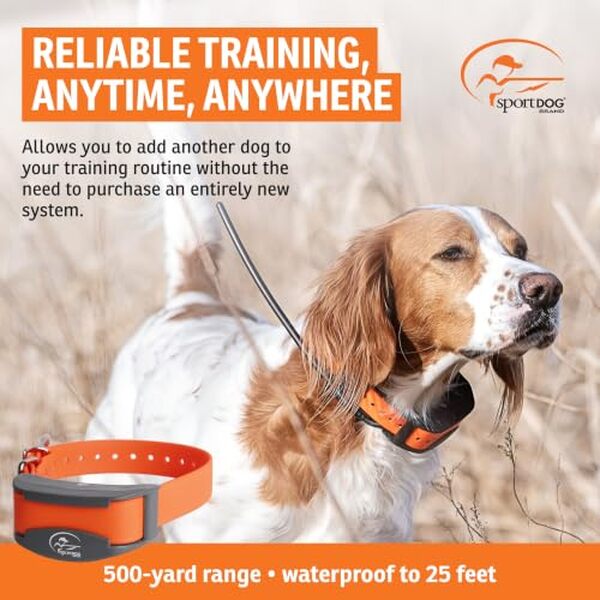 Découvrez notre test détaillé du collier de rechange SportDOG FieldTrainer 425X/SportHunter 825 : performances, compatibilité et prix pour choisir le meilleur accessoire.