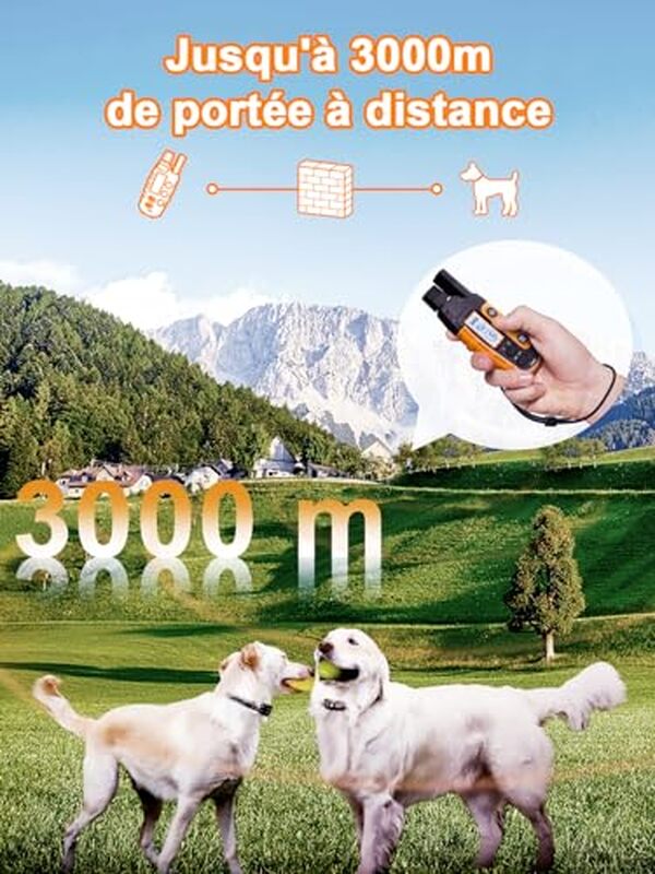 Découvrez notre test complet du collier de dressage Bousnic 3000m avec télécommande rechargeable : fonctionnalités, performances et avis utilisateurs.