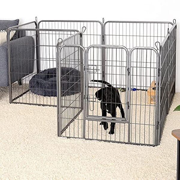 Découvrez notre test détaillé de l'enclos lionto 80x100 cm pour chiens et chiots. Caractéristiques, avantages et avis complet pour bien choisir.