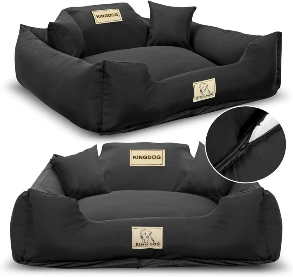 Test du lit pour grands chiens KING DOG XL : confort et praticité