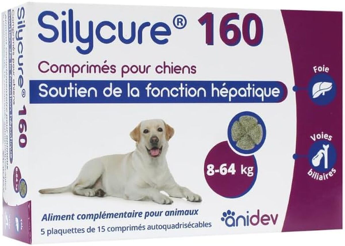 Test du silycure 160 mg d'Anidev : complément essentiel pour chiens et chats