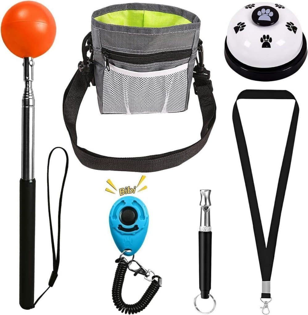 Test : kit de dressage pour chien et chat